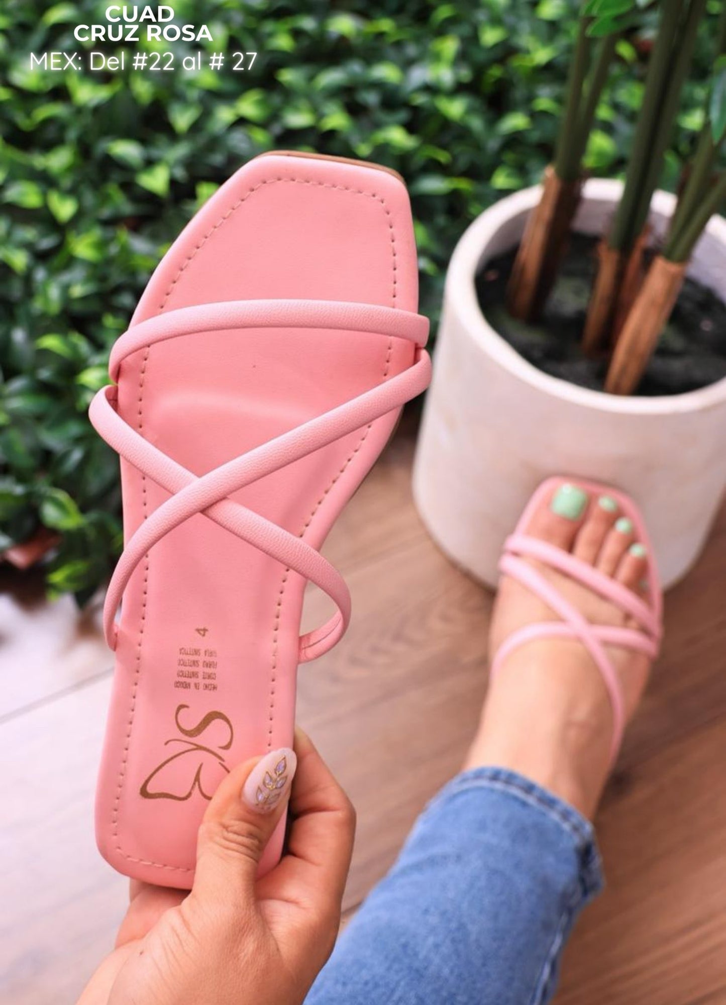 CUAD CRUZ ROSA