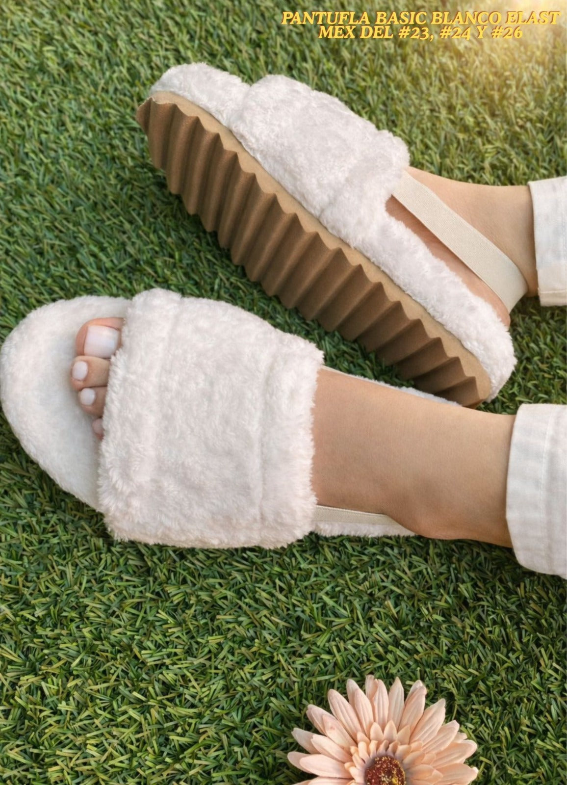 PANTUFLA/BASIC/ELASTI
