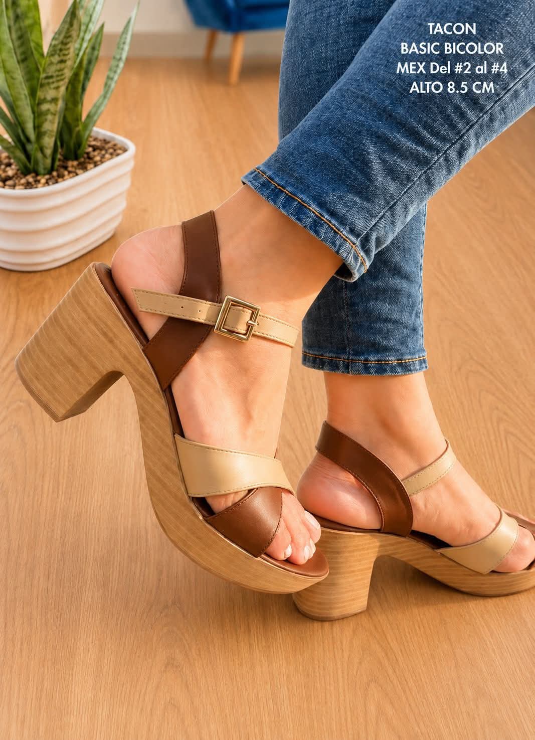 LEXA BASIC ORO FERRERO